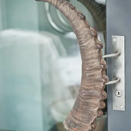 Telemark Appartement