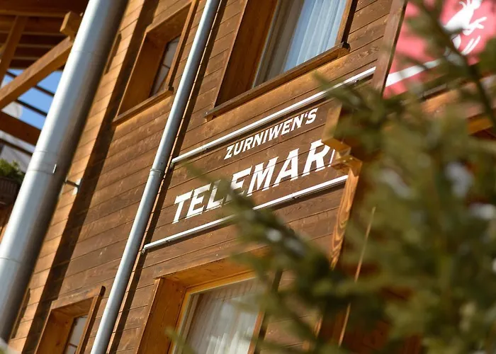 Telemark Apartament